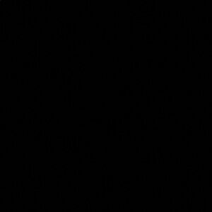 DO NOT BUY - ITEM HAS SOLD